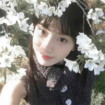 情歌春恋 海报